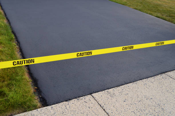 Best Asphalt Driveway Installation in Somers, WI